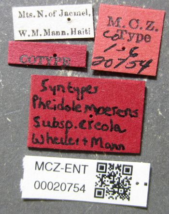 Media type: image; Entomology 20754